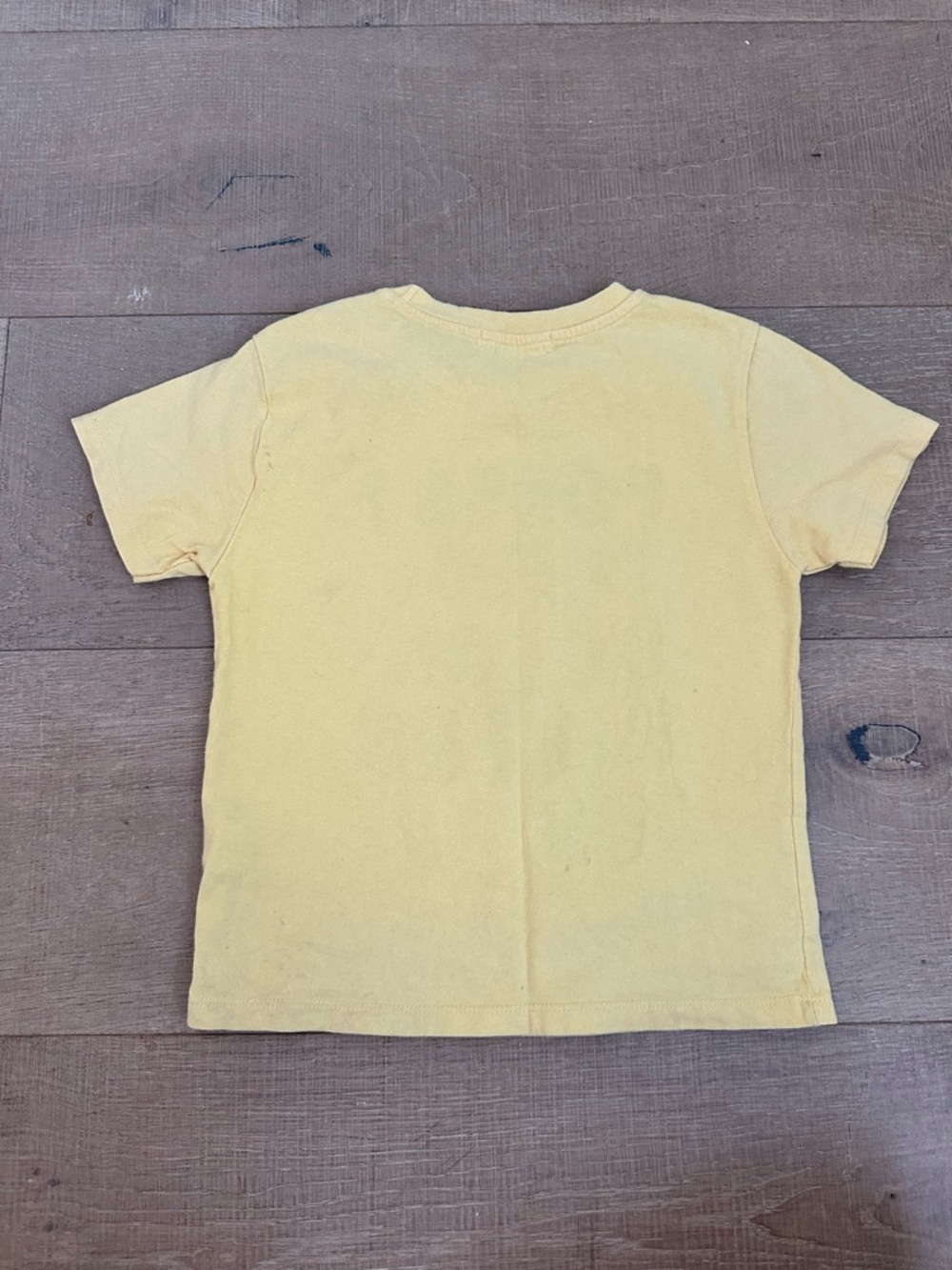 Zara Yellow Tee with Forest Trees Ocean Rivers Sun Graphic - Picture 3 of 6